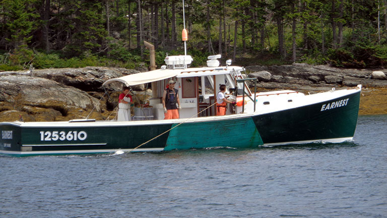 lobster tours in maine